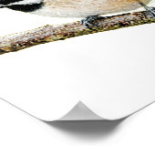 《鳥》アメリカゴガラオン分岐 ポスター (角)