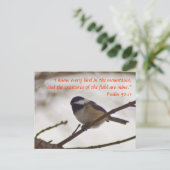 《鳥》アメリカゴガラオン小枝 ポストカード (スタンド正面)