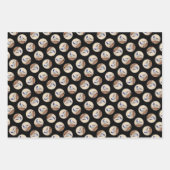 《鳥》アメリカゴガラオン絵画バードハウスオリジナルバードアート ラッピングペーパーシート (正面3)