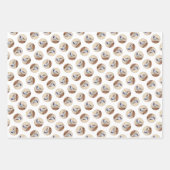 《鳥》アメリカゴガラオン絵画バードハウスオリジナルバードアート ラッピングペーパーシート (正面2)