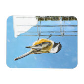 《鳥》アメリカゴガラオン絵画フィーダー – Bird Artオリジナル マグネット (横)