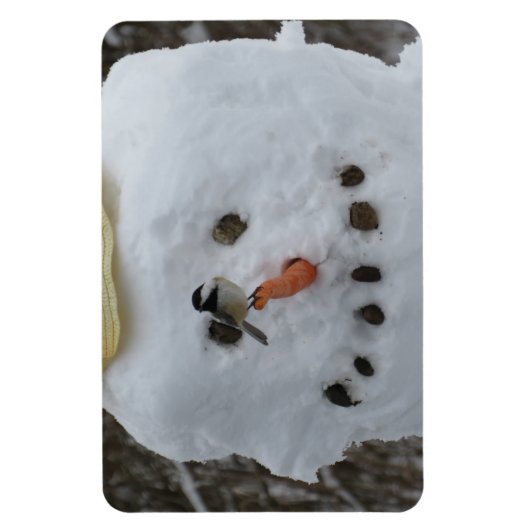 《鳥》アメリカゴガラオン雪だるまニンジン鼻 マグネット (縦)