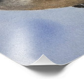 《鳥》アメリカゴガラディー フォトプリント            (角)