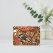 《鳥》アメリカゴガラバードピンク紅葉ATC 名刺 (スタンド正面)