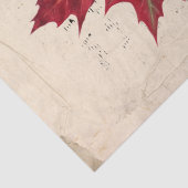 《鳥》アメリカゴガラバードレッド紅葉ミュージックパーチメント 薄葉紙 (詳細)