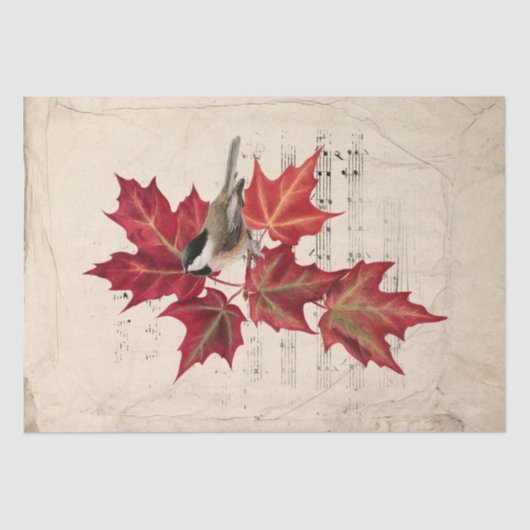 《鳥》アメリカゴガラバードレッド紅葉ミュージックパーチメント 薄葉紙 (正面)