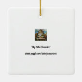 《鳥》アメリカゴガラバ食べッドから手水彩画 セラミックオーナメント (裏面)