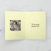 《鳥》アメリカゴガラファーザーズの日 カード (内部)