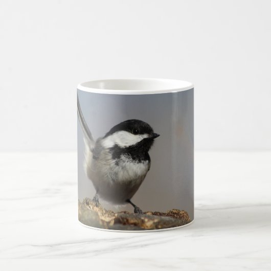 《鳥》アメリカゴガラマグカップ コーヒーマグカップ (中央)