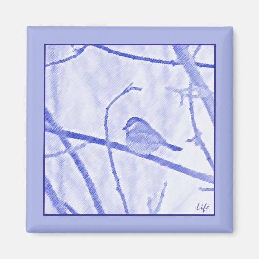 《鳥》アメリカゴガラライフマグネット マグネット (正面)