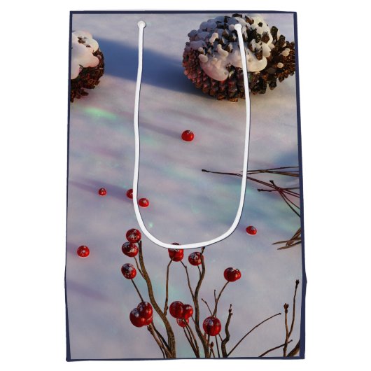 《鳥》アメリカゴガラ冬抱き枕 ミディアムペーパーバッグ (裏面)