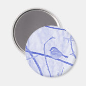 《鳥》アメリカゴガラ寿命磁石 マグネット (正面/裏面)