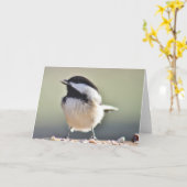 《鳥》アメリカゴガラ撮影 カード (黄色い花)
