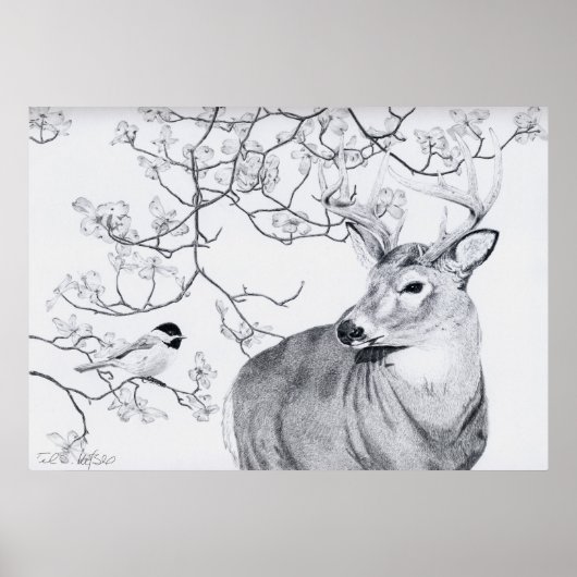 《鳥》アメリカゴガラ歌 ポスター (正面)