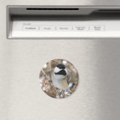 《鳥》アメリカゴガラ磁石 マグネット (インサイチュ (食洗機))