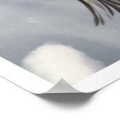 《鳥》アメリカゴガラ飛んでいるプリント ポスター (角)