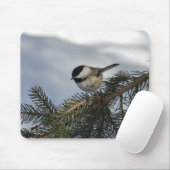 《鳥》アメリカゴガラ2 マウスパッド (マウス)