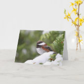 《鳥》アメリカゴガラ カード (黄色い花)