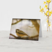 《鳥》アメリカゴガラ カード (黄色い花)