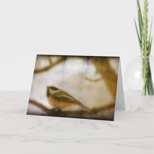 《鳥》アメリカゴガラ カード (正面)