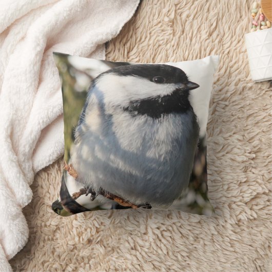 《鳥》アメリカゴガラ クッション (ブランケット)