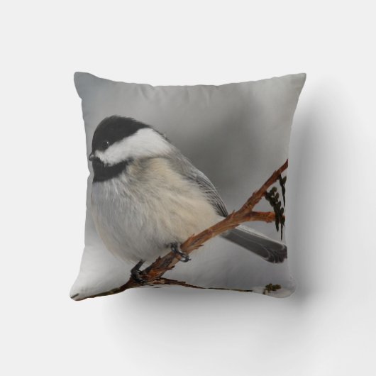 《鳥》アメリカゴガラ クッション (裏面)