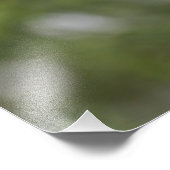 《鳥》アメリカゴガラ フォトプリント            (角)