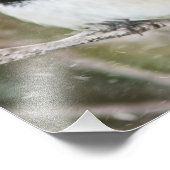 《鳥》アメリカゴガラ フォトプリント            (角)