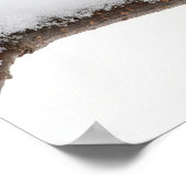 《鳥》アメリカゴガラ ポスター (角)