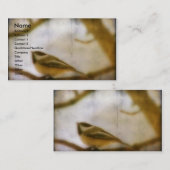 《鳥》アメリカゴガラ 名刺 (正面/裏面)