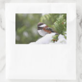 《鳥》アメリカゴガラ 長方形シール (バッグ)