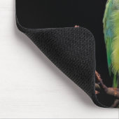鳥、オウム、インコ マウスパッド (コーナー)