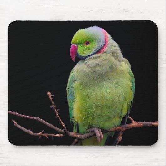 鳥、オウム、インコ マウスパッド (正面)