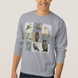 鳥、オウム、フクロウ、ハト、コカブラ スウェットシャツ
