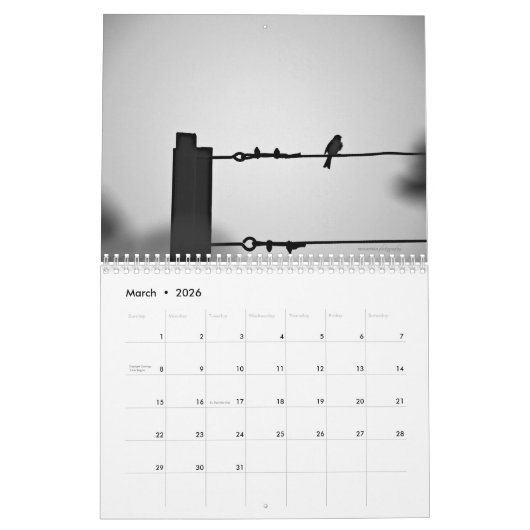 鳥 カレンダー (3月 2026)