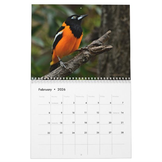 鳥 カレンダー (2月 2026)