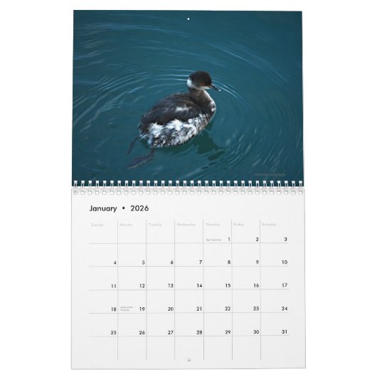 鳥 カレンダー (1月 2026)