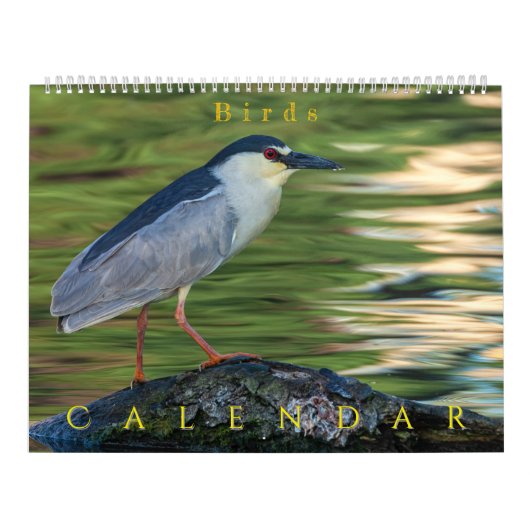 鳥 カレンダー (カバー)