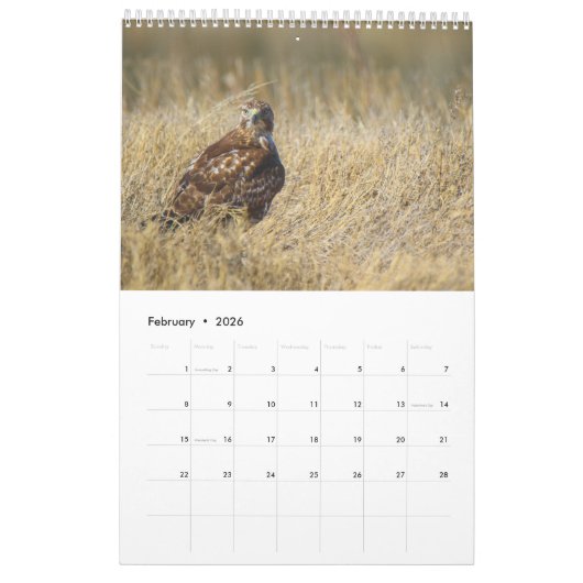 鳥 カレンダー (2月 2026)