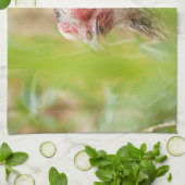 鳥 キッチンタオル (折り畳み)