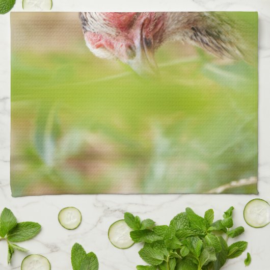 鳥 キッチンタオル (折り畳み)