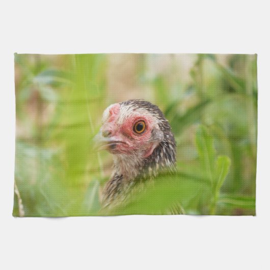 鳥 キッチンタオル (横)