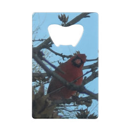 鳥 クレジットカード栓抜き