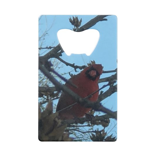 鳥 クレジットカード栓抜き (正面)