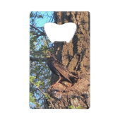 鳥 クレジットカード栓抜き (裏面)