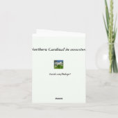 (鳥)ショウジョウコウカンチョウありがとう サンキューカード (裏面)