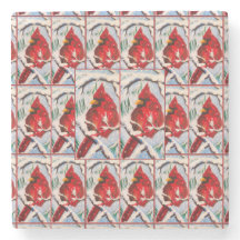 （鳥）ショウジョウコウカンチョウおもしろいコースター