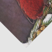 (鳥)ショウジョウコウカンチョウおよびPinecones 薄葉紙 (詳細)