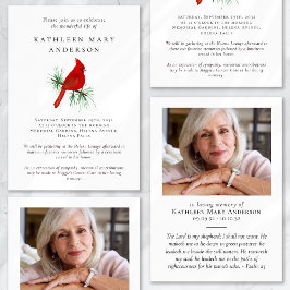 （鳥）ショウジョウコウカンチョウお祝い生葬 招待状