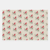 (鳥)ショウジョウコウカンチョウお祝い:フェスティバルラップ紙 ラッピングペーパーシート (正面2)